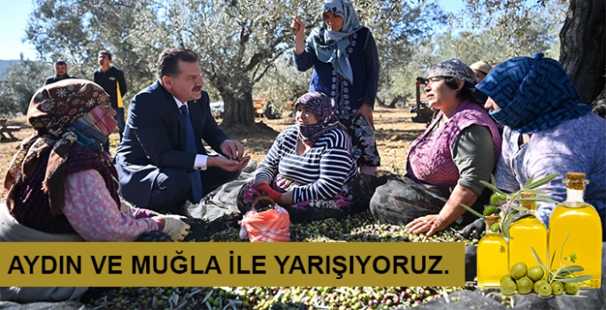 Balıkesir Zeytincilikte Aydın ve Muğla'yı geçmeyi hedefliyor