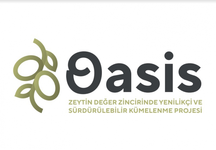 OASIS Projesi ile KOBİ'ler Güçleniyor, Zeytin Sektörü Rekabetçi Hale Geliyor